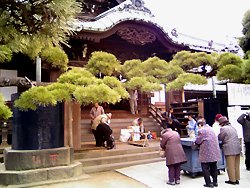 🍁 엔메이 절(엔묘지) 이미지 9